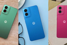 Pasar HP RI Makin Panas, 4 Merek Smartphone Ini Comeback di 2025