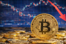 Bitcoin Gagal Tembus US$90.000, Kenapa Harga Masih Seret?