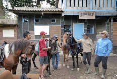 Kampung Koboi Tugu Selatan, Bukti Transformasi Desa Berbasis Potensi Lokal Lewat Desa BRILiaN BRI