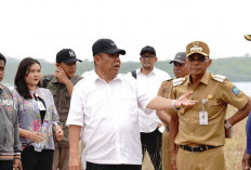 Selat Nasik Berpeluang Jadi Sentra Kelapa, Gubernur Babel Lirik Potensi Pabrik dan Dermaga