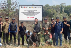 Lahan Tambang CV Iprau Hero di Membalong Disegel Satgas PKH, Santo: Siap, Biar Saja