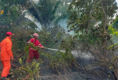 Karhutla 2026 Mengintai, Masyarakat Belitung Diimbau Waspada di Tengah Cuaca Panas