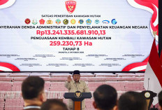 Prabowo Siapkan 70 Ribu Polisi Hutan, Cegah Penjarahan Liar