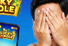 Lucky Mole Janjikan Saldo DANA Gratis Ratusan Ribu, Cek Fakta Aplikasi Viral 2026