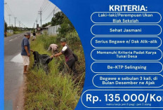 Pemdes Selingsing Buka 15 Lowongan Kerja Padat Karya 2025, Ini Syarat & Upahnya