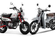 Honda Monkey dan C125 Versi Terbaru Meluncur, Motor Klasik Makin Ceria dan Berani