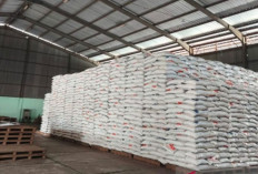 Hadapi Idul Fitri, Stok Beras Belitung Ditambah 500 Ton