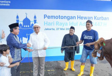 BRI Group Salurkan Lebih dari 5.000 Hewan Kurban Idul Adha 2026, Jangkau Berbagai Daerah di Indonesia