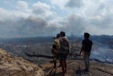 Kabut Asap Masuk Beltim, DLH Ingatkan Korporasi dan Masyarakat Jangan Bakar Lahan