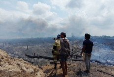 Kasus Karhutla Beltim 2026 Makin Parah, 284 Hektare Lahan Terbakar hingga Agustus 