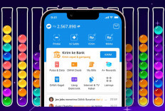 Cara Main Game Penghasil Saldo DANA Populer 2025, Cuan Saldo Gratis Rp234.000