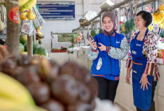 Tips dan Panduan Lengkap Agar Pengajuan KUR 2026 Cepat Disetujui, UMKM Wajib Tahu!