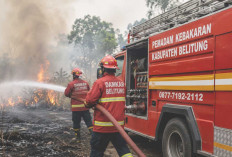 Mau Lapor Kebakaran atau Evakuasi? Damkar Belitung Siapkan Layanan WhatsApp