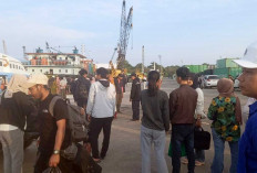 Arus Balik Lebaran 2026 di Pelabuhan Tanjungpandan Meningkat, Penumpang Capai 358 Orang