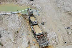 PT Timah Benahi Tata Kelola Pertambangan, Ini 7 Perubahan Penting yang Diterapkan