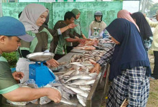 Bazar Ikan Murah Belitung, Harga Mulai Rp15 Ribu per Kilogram