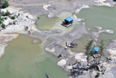 PT Timah Boleh Beli Timah Rakyat Belitung, AMPEBE Minta Asal Tambang Dipastikan Legal