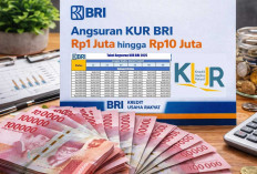 Tabel Lengkap Angsuran KUR BRI Plafon Rp1–10 Juta, Cicilan Ringan untuk UMKM