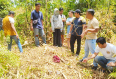 Pengakuan Remaja Perempuan di Belitung Usai Diduga Coba Bunuh Ibu, Apa Motifnya?