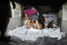 Penyelundupan Timah Belitung Kembali Terungkap, TNI AL Sita 177 Karung Barang Bukti