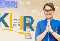 KUR BRI 2025: Modal Usaha Pemula dengan Cicilan Rp600 Ribuan, Begini Cara Pengajuannya