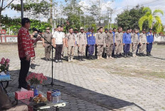 Kinerja Satpol PP Beltim Disorot, Bupati Minta Tak Hanya Seremonial dan Segera Bertindak