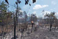 Karhutla Beltim Tembus 177 Kejadian, 328 Hektare Lahan Terbakar hingga Agustus 2026