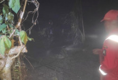 Kebakaran Hutan Dekat Villa Truntum Tanjung Kelayang Belitung, 1 Hektare Lahan Terbakar