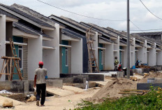 BTN Dominasi Penyaluran KPR Sejahtera FLPP Awal 2026, Tertinggi di Antara Himbara