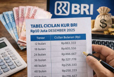 Tabel Lengkap Cicilan KUR BRI Rp10 Juta Desember 2025, Mulai Rp216 Ribuan