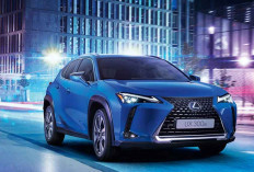 Ini Dia Mobil Terlaris Dunia 2025, Penjualan Tembus Rekor 10,5 Juta Unit