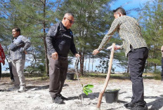 Hari Lingkungan Hidup 2026, Pemkab Beltim Tanam Pohon dan Bersihkan Pantai Nyiur Melambai