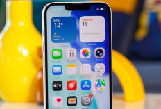 Bocoran iPhone 19e Pakai Layar ProMotion 120Hz, Akhirnya Apple Buang Layar Kuno?