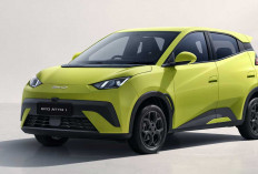 Update Harga 5 Mobil Listrik BYD 2025, Baru dan Bekas Kini Makin Terjangkau