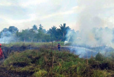 Lahan Terbakar di Jalan Air Bulo, BPBD Belitung Gerak Cepat Padamkan Api