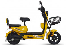 Mau Beli Sepeda Listrik Baterai Awet? Ini 6 Pilihan Jarak Tempuh Terjauh di 2025