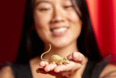 Ramalan Shio Tikus di Tahun Kuda Api 2026: Prediksi Karier, Keuangan, Hingga Asmara