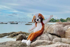 Promo Menginap Hotel Belitung 2026, Swiss-Belresort Hadirkan Paket Bernie Play & Stay