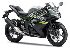 Mau Beli Kawasaki Ninja 250SL Bekas di 2026? Kini Harganya Setara Motor 150cc Baru